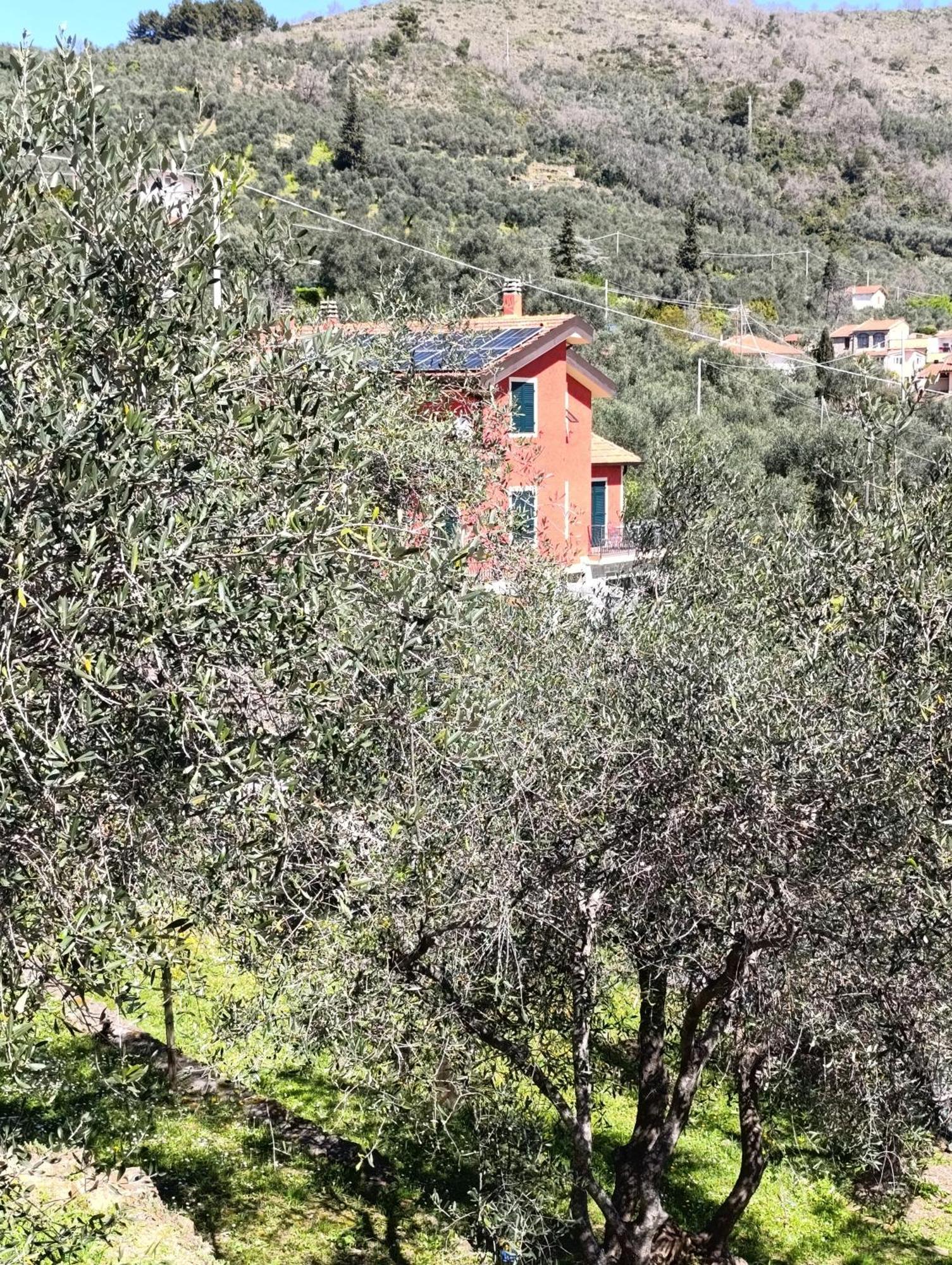 Apartament Le Casasse Imperia Zewnętrze zdjęcie